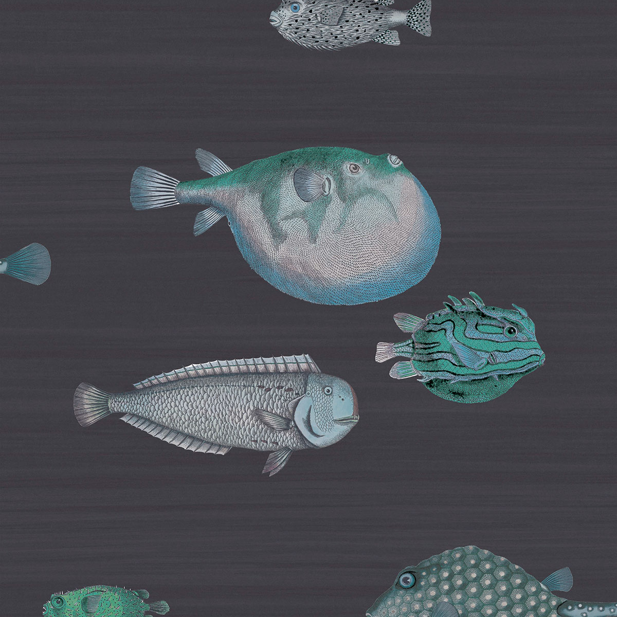 acquario wallpaper