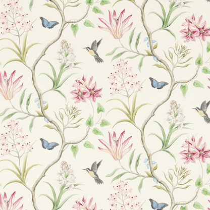 Clementine Chintz