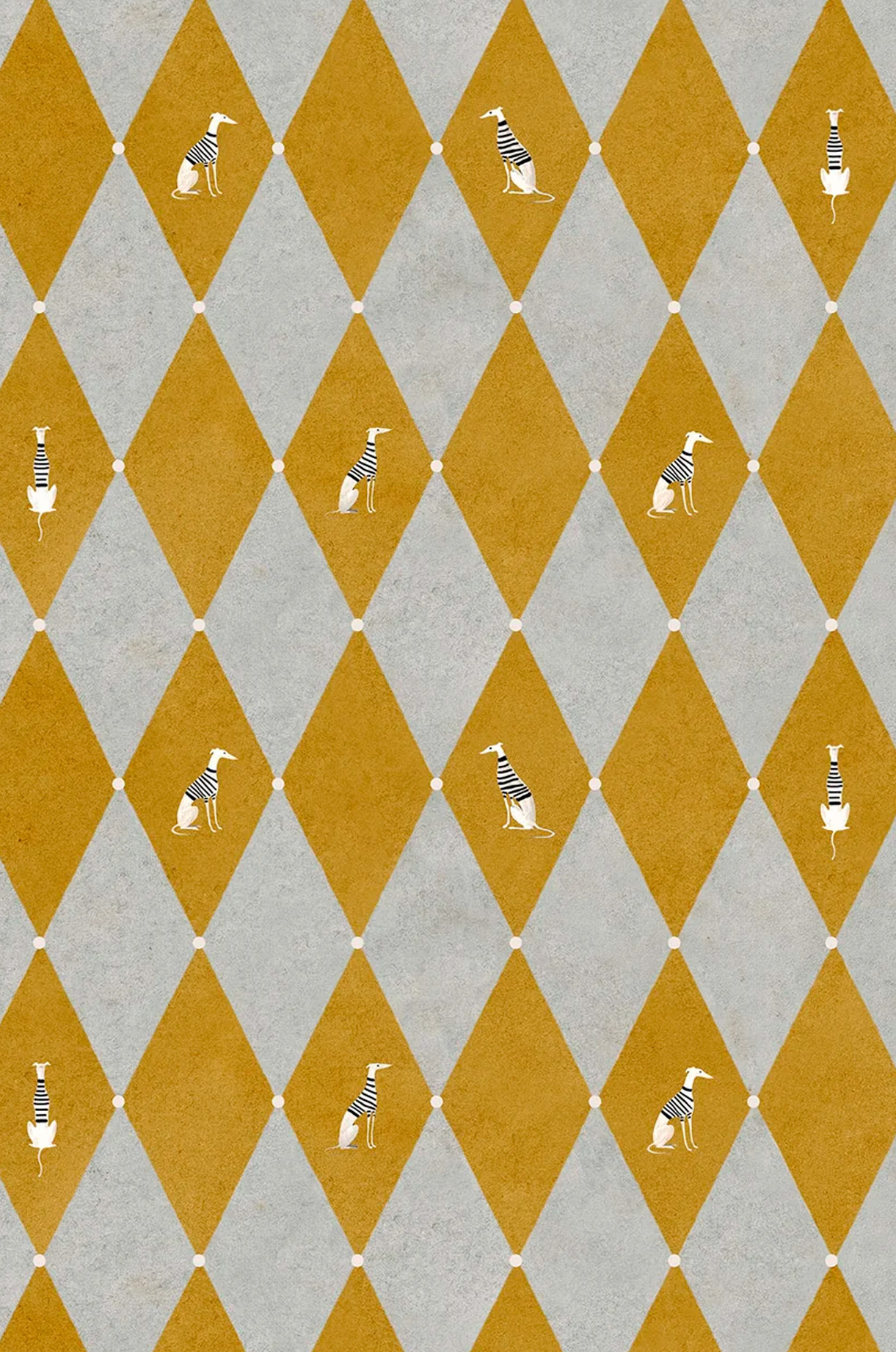 Galgopando Agua Amarillo