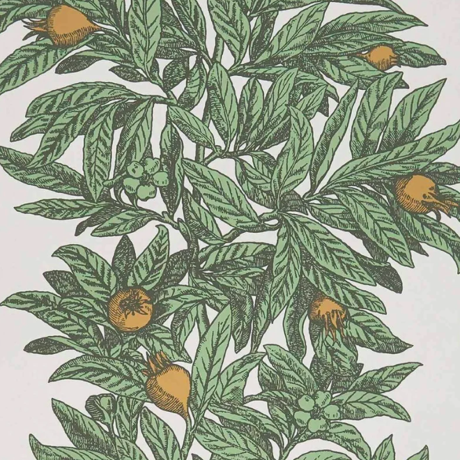 medlar wallpaper osborne and little