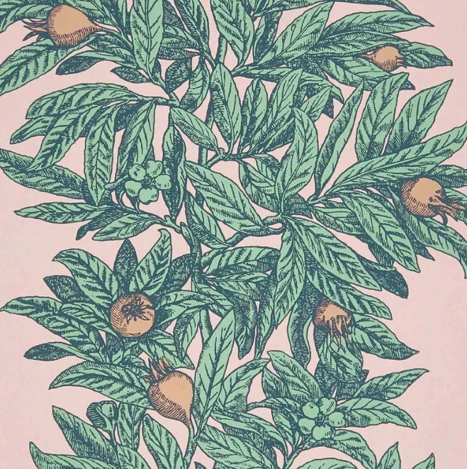 medlar wallpaper osborne and little