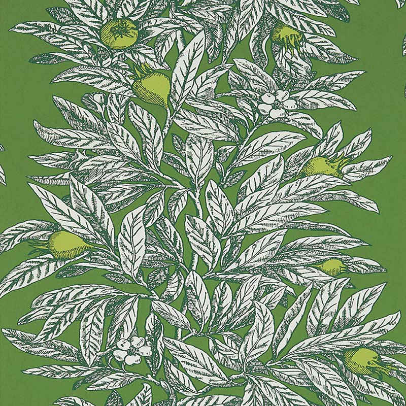 medlar wallpaper osborne and little