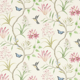 Clementine Chintz