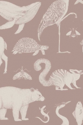 Animals Dusty Rose