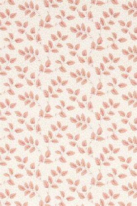 Tomato Leaf Pink Clay