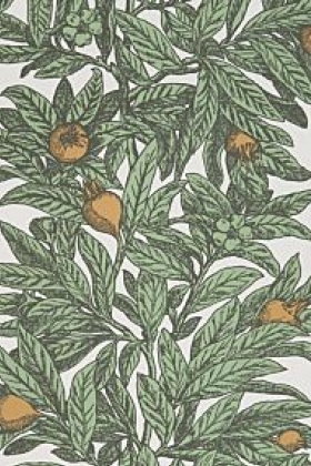 Medlar Blanco