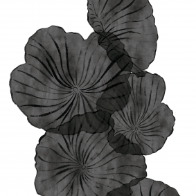 LOTUS PANEL 1 (Blanco y negro)