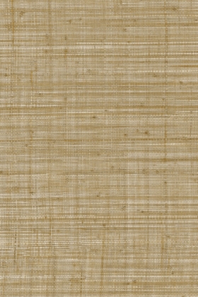 Tierra Beige